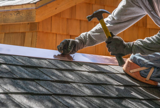 Best Emergency Roof Repair Services  in La Joya, TX