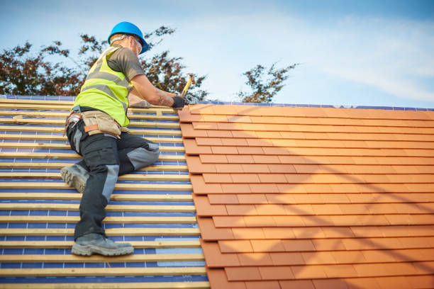 Best Metal Roofing Installation  in La Joya, TX