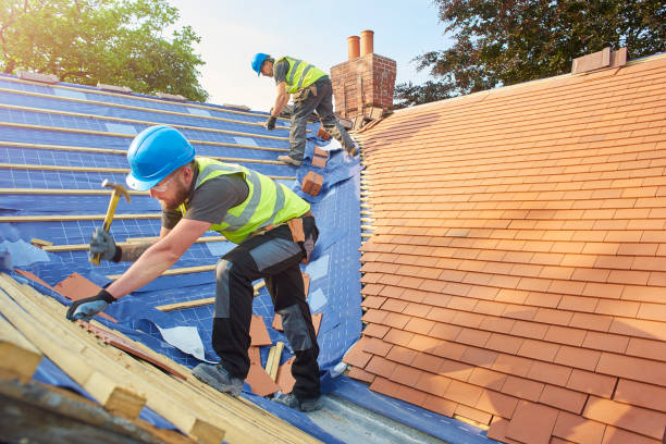Best Roof Installation  in La Joya, TX